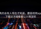 真的会有人现在才知道，蘑菇视频app下载这次越看越让人想深挖