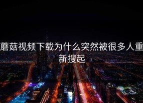蘑菇视频下载为什么突然被很多人重新搜起