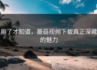 用了才知道，蘑菇视频下载真正深藏的魅力