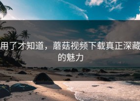 用了才知道，蘑菇视频下载真正深藏的魅力