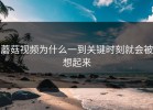 蘑菇视频为什么一到关键时刻就会被想起来