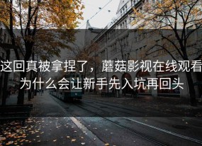 这回真被拿捏了，蘑菇影视在线观看为什么会让新手先入坑再回头