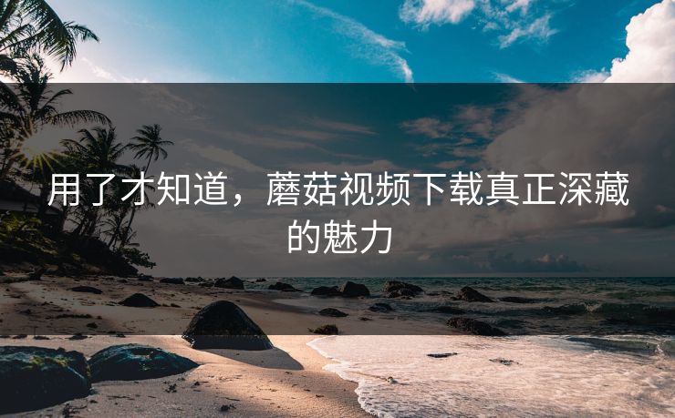 用了才知道，蘑菇视频下载真正深藏的魅力