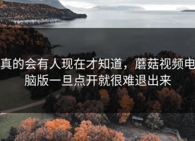 真的会有人现在才知道，蘑菇视频电脑版一旦点开就很难退出来