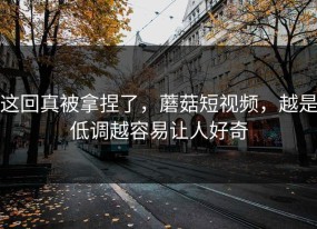 这回真被拿捏了，蘑菇短视频，越是低调越容易让人好奇