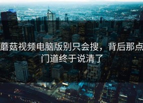 蘑菇视频电脑版别只会搜，背后那点门道终于说清了