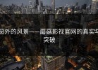 窗外的风景——蘑菇影视官网的真实与突破
