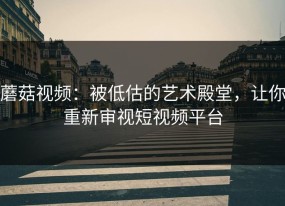 蘑菇视频：被低估的艺术殿堂，让你重新审视短视频平台