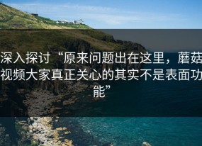 深入探讨“原来问题出在这里，蘑菇视频大家真正关心的其实不是表面功能”