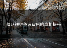 蘑菇视频争议背后的真相探秘