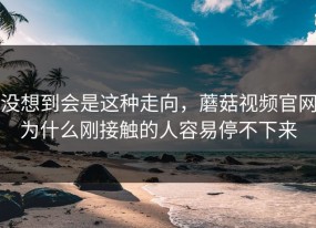 没想到会是这种走向，蘑菇视频官网为什么刚接触的人容易停不下来