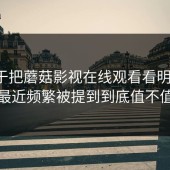 我终于把蘑菇影视在线观看看明白了：最近频繁被提到到底值不值