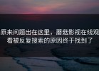 原来问题出在这里，蘑菇影视在线观看被反复搜索的原因终于找到了