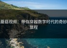 蘑菇视频：带你穿越数字时代的奇妙旅程