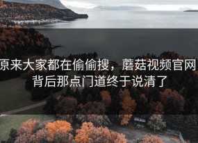 原来大家都在偷偷搜，蘑菇视频官网，背后那点门道终于说清了