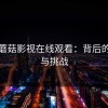 探秘蘑菇影视在线观看：背后的复杂与挑战