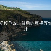 蘑菇视频争议：背后的真相等你来揭开