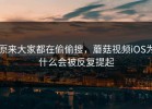 原来大家都在偷偷搜，蘑菇视频iOS为什么会被反复提起