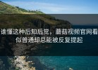谁懂这种后知后觉，蘑菇视频官网看似普通却总能被反复提起