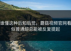 谁懂这种后知后觉，蘑菇视频官网看似普通却总能被反复提起