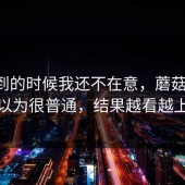 刚刷到的时候我还不在意，蘑菇视频，本以为很普通，结果越看越上头
