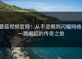 蘑菇视频官网：从不显眼到闪耀网络，一路崛起的传奇之旅