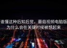 谁懂这种后知后觉，蘑菇视频电脑版为什么会在关键时候被想起来