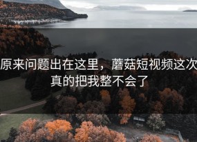 原来问题出在这里，蘑菇短视频这次真的把我整不会了