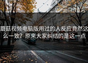 蘑菇视频电脑版用过的人反应竟然这么一致？原来大家纠结的是这一点
