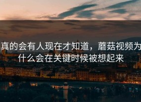 真的会有人现在才知道，蘑菇视频为什么会在关键时候被想起来