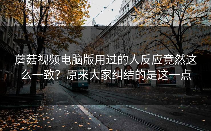 蘑菇视频电脑版用过的人反应竟然这么一致？原来大家纠结的是这一点