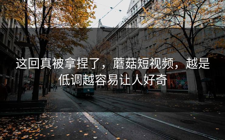 这回真被拿捏了，蘑菇短视频，越是低调越容易让人好奇