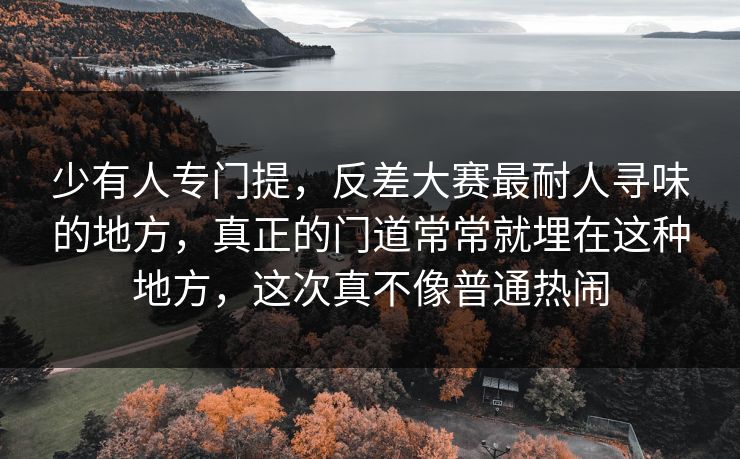 少有人专门提，反差大赛最耐人寻味的地方，真正的门道常常就埋在这种地方，这次真不像普通热闹