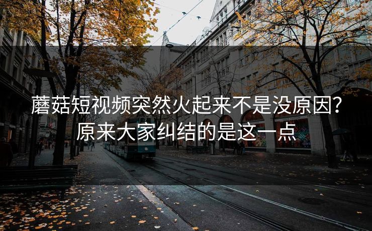 蘑菇短视频突然火起来不是没原因？原来大家纠结的是这一点