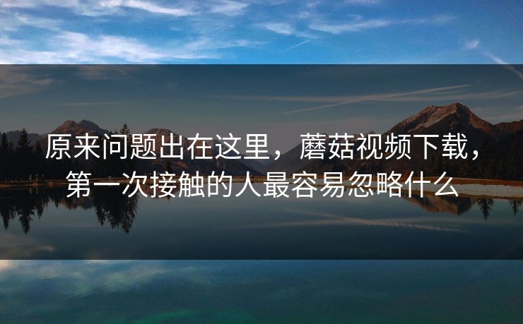 原来问题出在这里，蘑菇视频下载，第一次接触的人最容易忽略什么