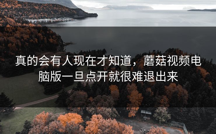 真的会有人现在才知道，蘑菇视频电脑版一旦点开就很难退出来