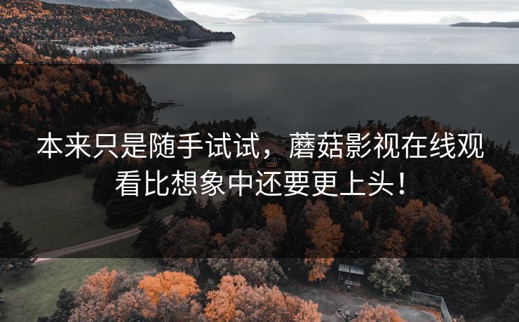 本来只是随手试试，蘑菇影视在线观看比想象中还要更上头！