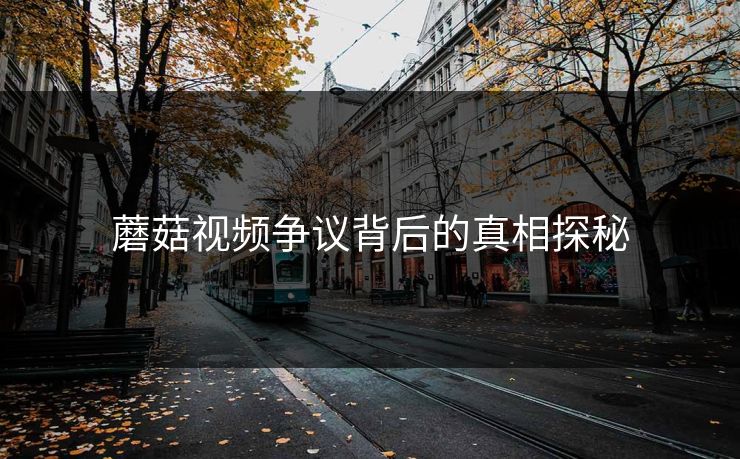 蘑菇视频争议背后的真相探秘