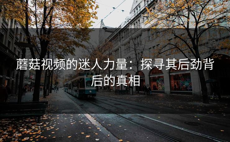 蘑菇视频的迷人力量：探寻其后劲背后的真相
