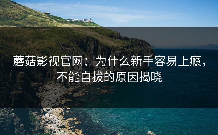 蘑菇影视官网：为什么新手容易上瘾，不能自拔的原因揭晓
