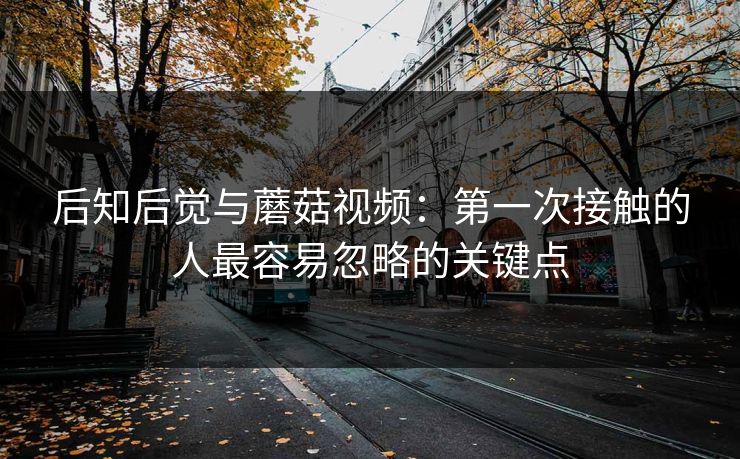 后知后觉与蘑菇视频：第一次接触的人最容易忽略的关键点