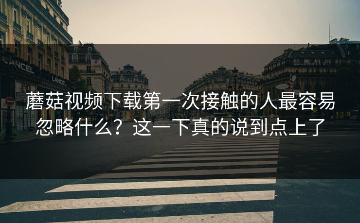 蘑菇视频下载第一次接触的人最容易忽略什么？这一下真的说到点上了