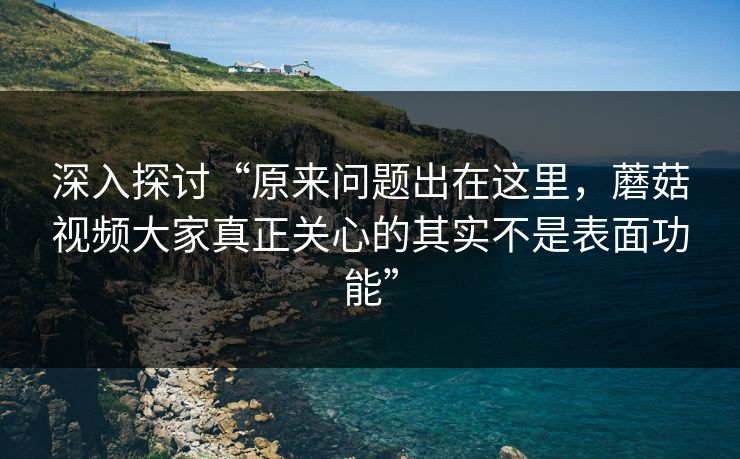 深入探讨“原来问题出在这里，蘑菇视频大家真正关心的其实不是表面功能”