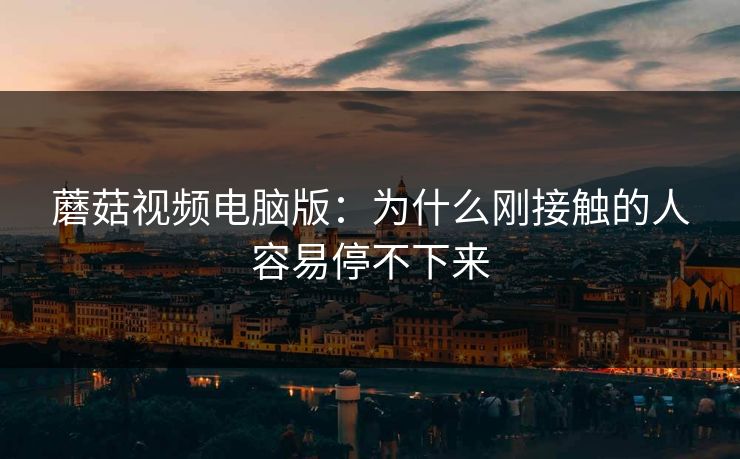 蘑菇视频电脑版：为什么刚接触的人容易停不下来