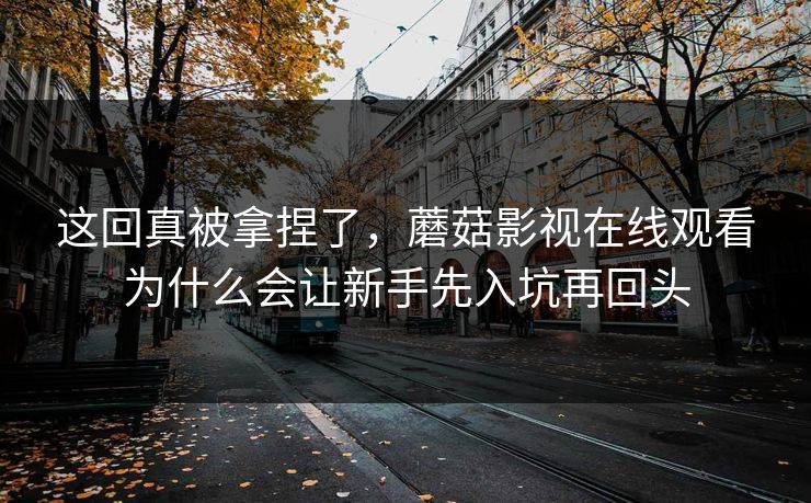 这回真被拿捏了，蘑菇影视在线观看为什么会让新手先入坑再回头