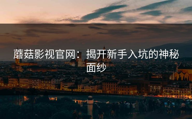 蘑菇影视官网：揭开新手入坑的神秘面纱