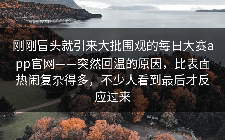 刚刚冒头就引来大批围观的每日大赛app官网——突然回温的原因，比表面热闹复杂得多，不少人看到最后才反应过来